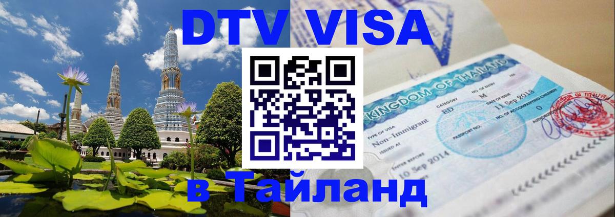 Оформление DTV визы под ключ: стоимость и тарифы, только загранпаспорт - Ессентуки  19.11.2025 